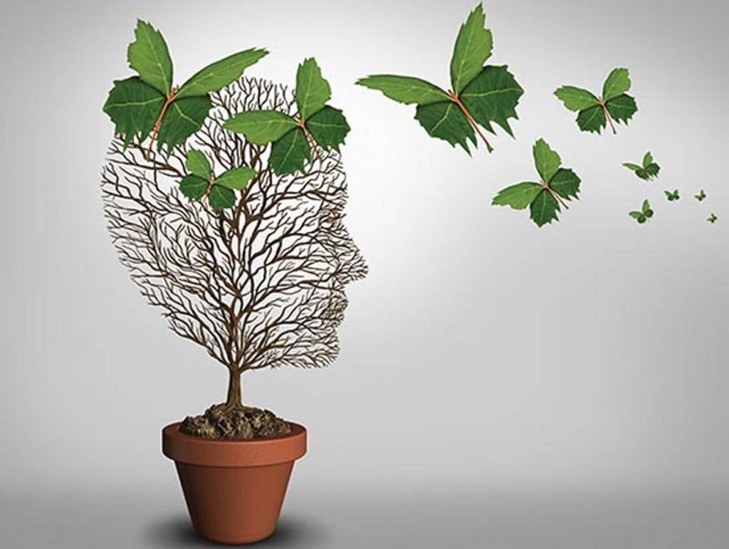 Genesis Psychology Services Anne Lambert Wongawallan, QLD